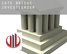 Cats Bridge investeerders