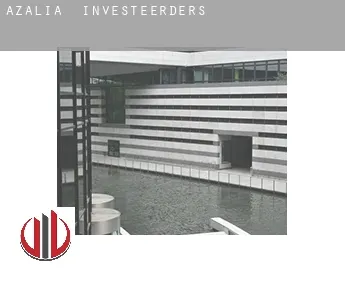 Azalia  investeerders