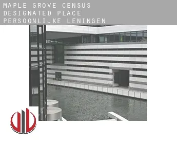 Maple Grove  persoonlijke leningen