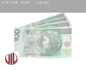 Hinterm Horn  lening