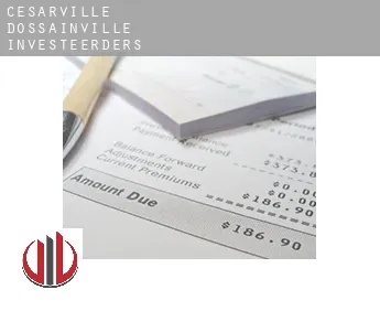 Césarville-Dossainville  investeerders