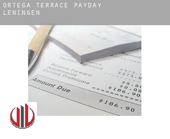 Ortega Terrace  payday leningen