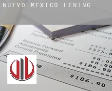 New Mexico  lening