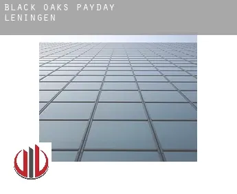 Black Oaks  payday leningen