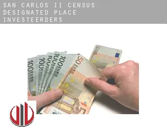 San Carlos II  investeerders