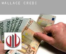 Wallace credit