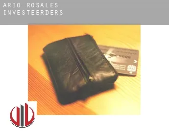 Ario de Rosales  investeerders