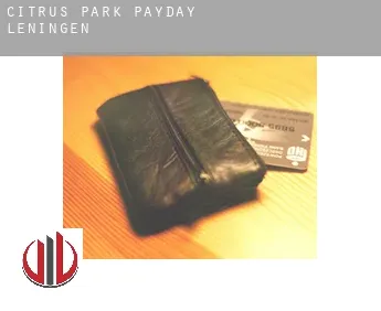 Citrus Park  payday leningen