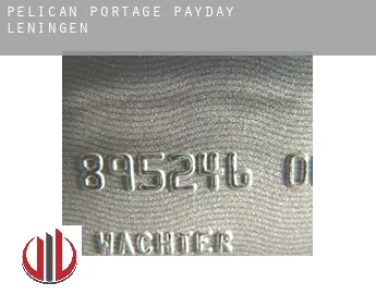 Pelican Portage  payday leningen