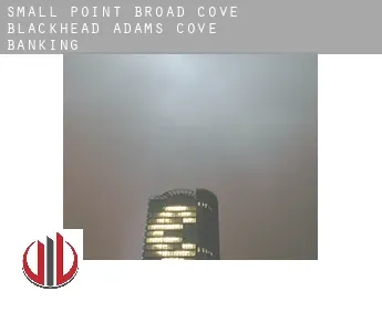 Small Point-Broad Cove-Blackhead-Adams Cove  banking