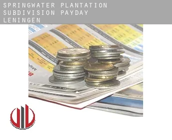 Springwater Plantation Subdivision  payday leningen