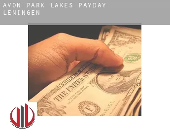 Avon Park Lakes  payday leningen