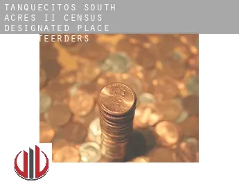 Tanquecitos South Acres II investeerders