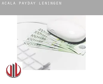 Acala  payday leningen