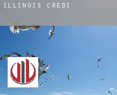 Illinois credit