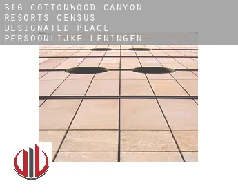 Big Cottonwood Canyon Resorts  persoonlijke leningen