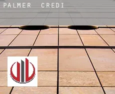 Palmer credit