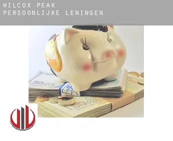 Wilcox Peak persoonlijke leningen