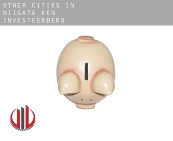 Other cities in Niigata-ken  investeerders