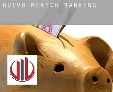 New Mexico  banking
