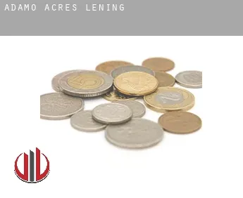 Adamo Acres  lening