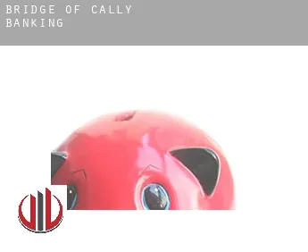 Bridge of Cally  banking