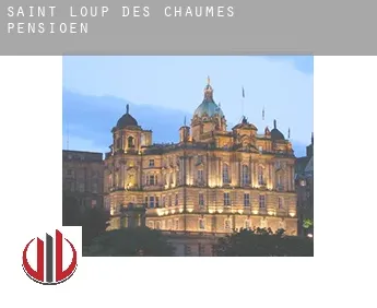 Saint-Loup-des-Chaumes  pensioen