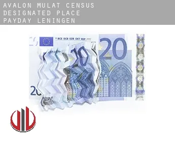 Avalon Mulat payday leningen