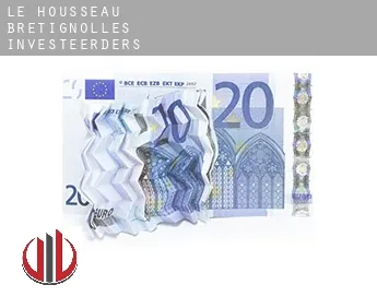 Le Housseau-Brétignolles  investeerders