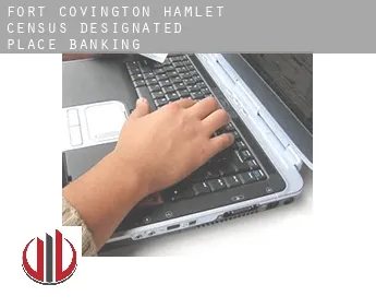 Fort Covington Hamlet  banking