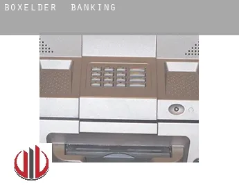 Boxelder  banking