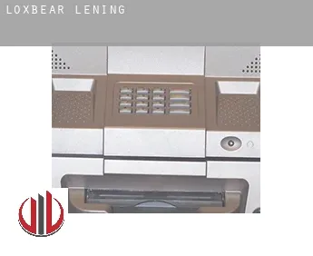 Loxbear  lening