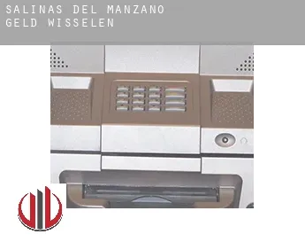 Salinas del Manzano  geld wisselen