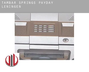 Tambar Springs  payday leningen