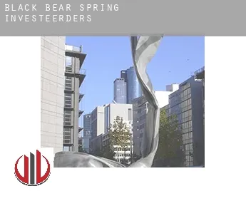 Black Bear Spring  investeerders