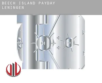 Beech Island  payday leningen