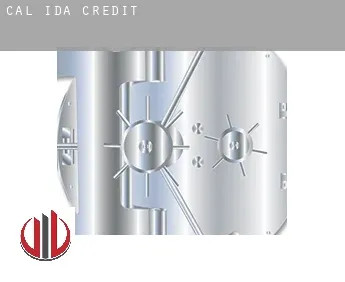 Cal-Ida  credit