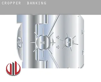 Cropper  banking