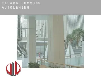 Cahaba Commons  autolening