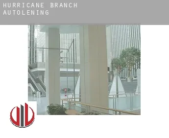 Hurricane Branch  autolening