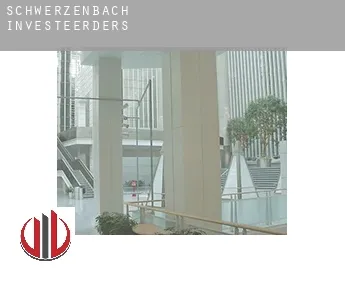 Schwerzenbach  investeerders
