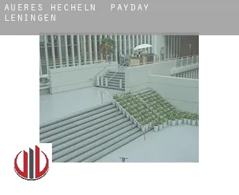 Äußeres Hecheln  payday leningen