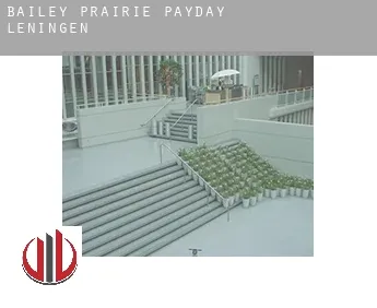 Bailey Prairie  payday leningen