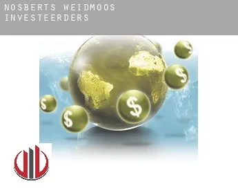 Nösberts-Weidmoos  investeerders