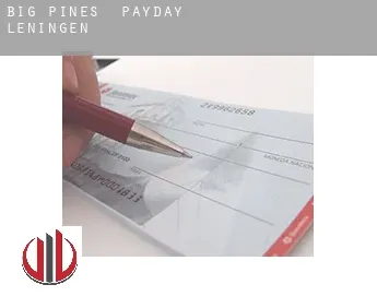 Big Pines  payday leningen