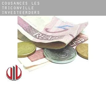 Cousances-lès-Triconville  investeerders