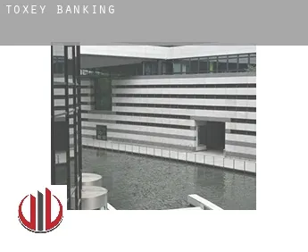 Toxey  banking